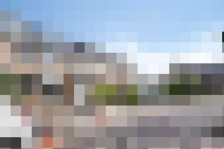 Anemoon 21 De Lier thumbnail 34