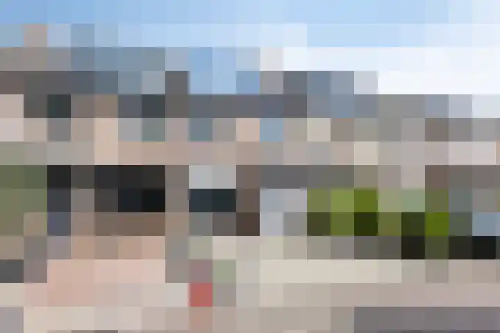 Anemoon 21 De Lier thumbnail 35