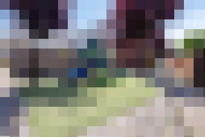Anemoon 21 De Lier thumbnail 36