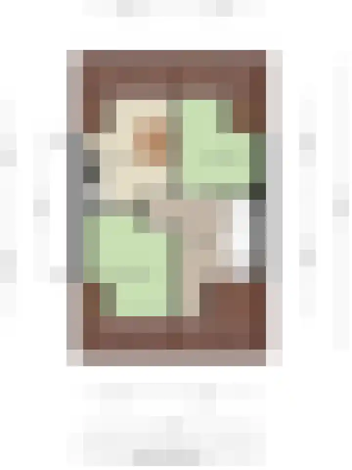 Anemoon 21 De Lier thumbnail 41