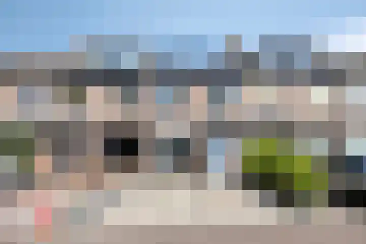 Anemoon 21 De Lier thumbnail 43
