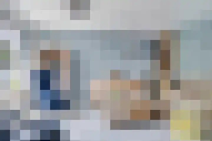 Anemoon 21 De Lier thumbnail 5