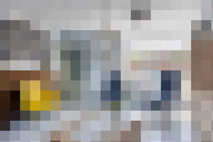 Anemoon 21 De Lier thumbnail 6