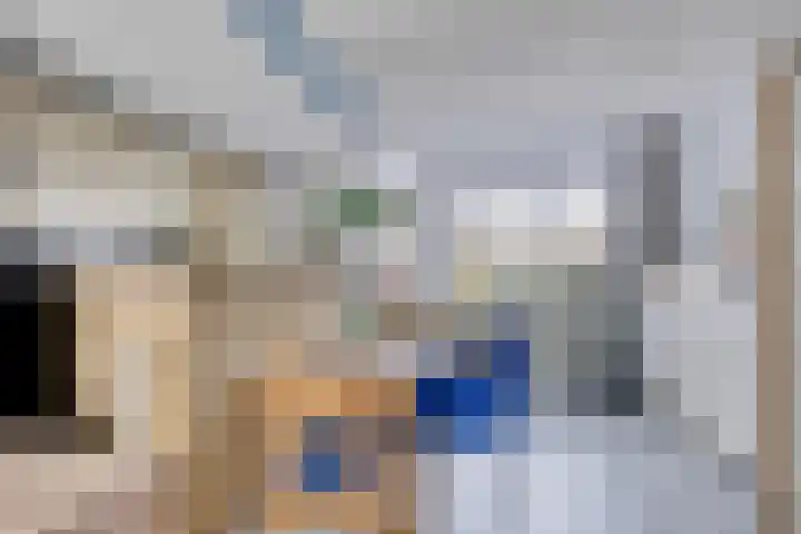 Anemoon 21 De Lier thumbnail 7