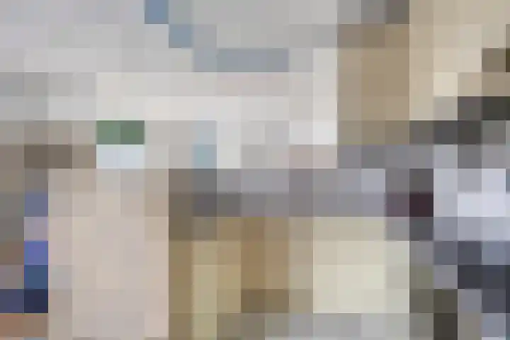 Anemoon 21 De Lier thumbnail 8