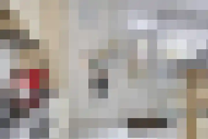 Anemoon 21 De Lier thumbnail 9