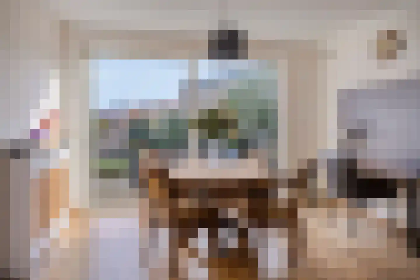 Anemoon 25 Borne thumbnail 11