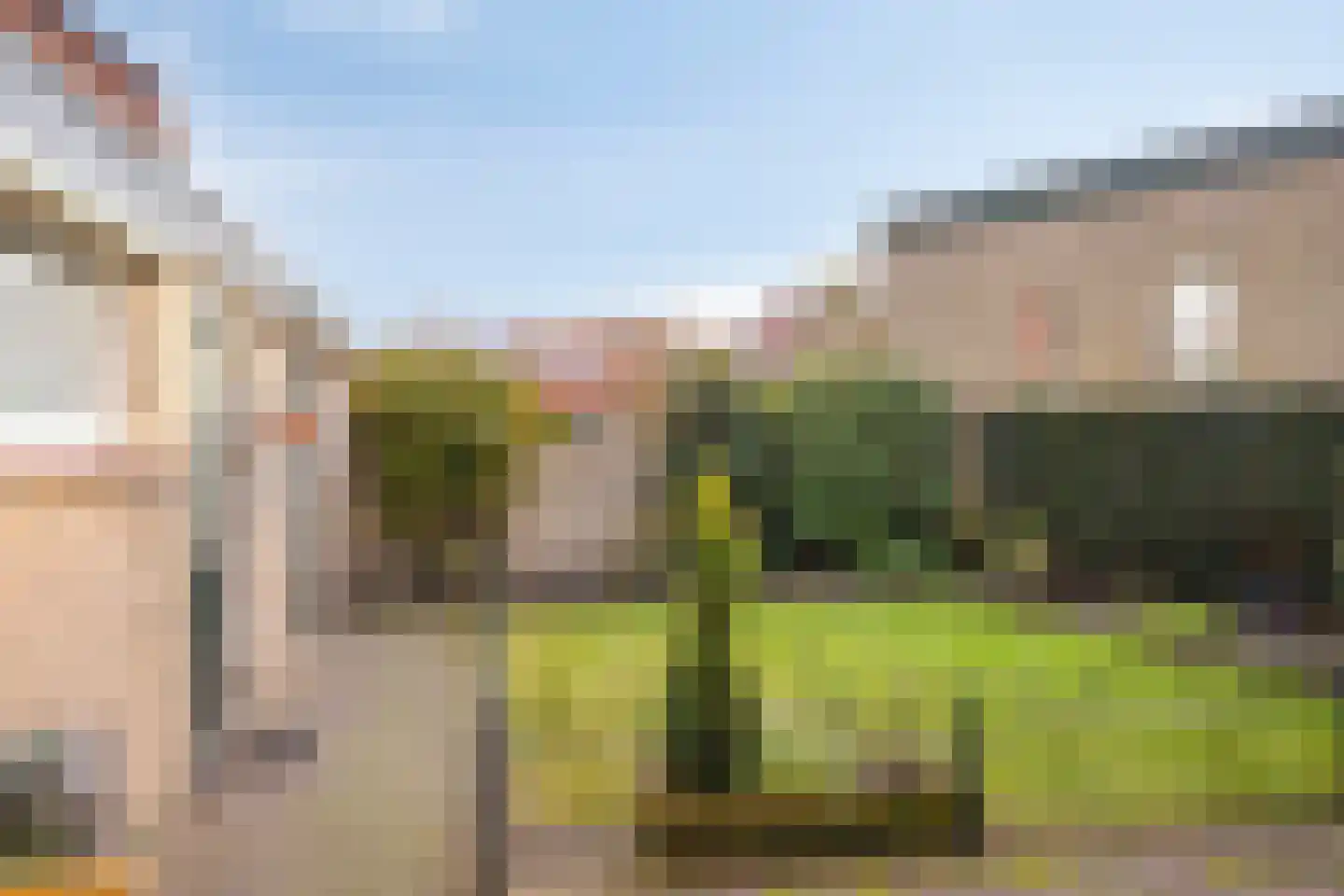 Anemoon 25 Borne thumbnail 23