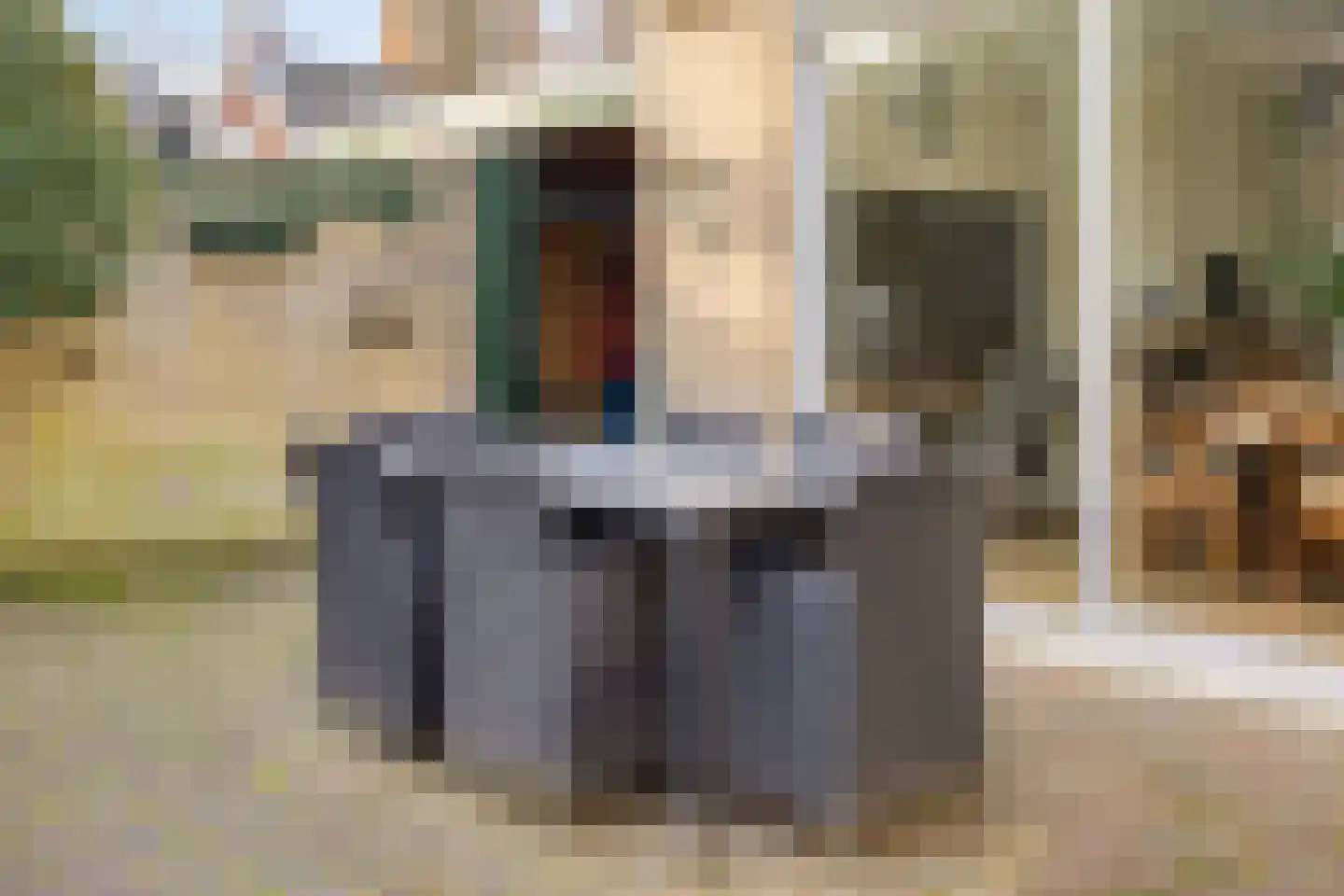 Anemoon 25 Borne thumbnail 24