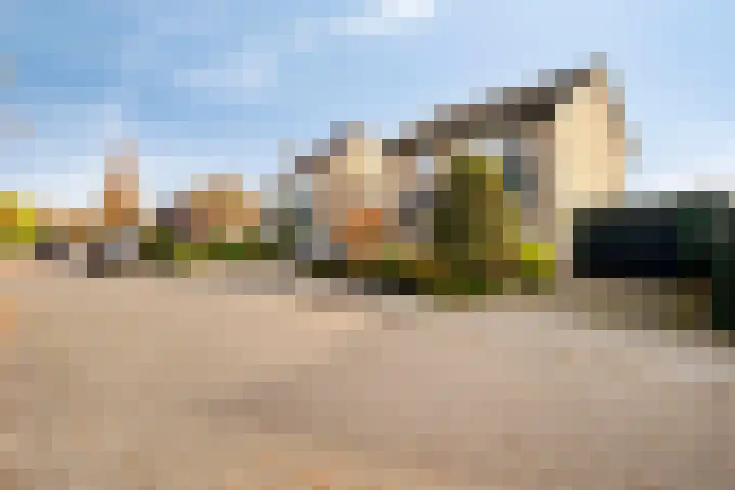 Anemoon 25 Borne thumbnail 26