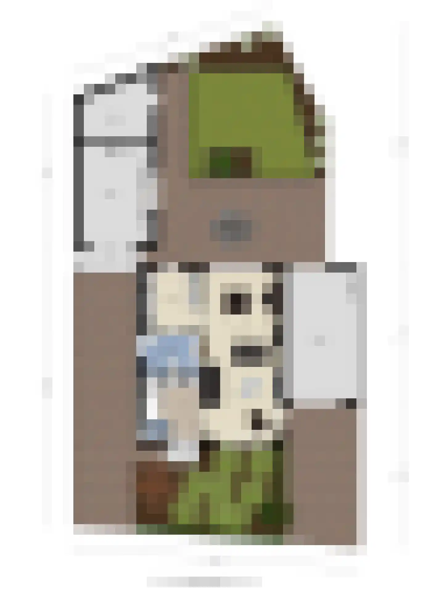 Anemoon 25 Borne thumbnail 31