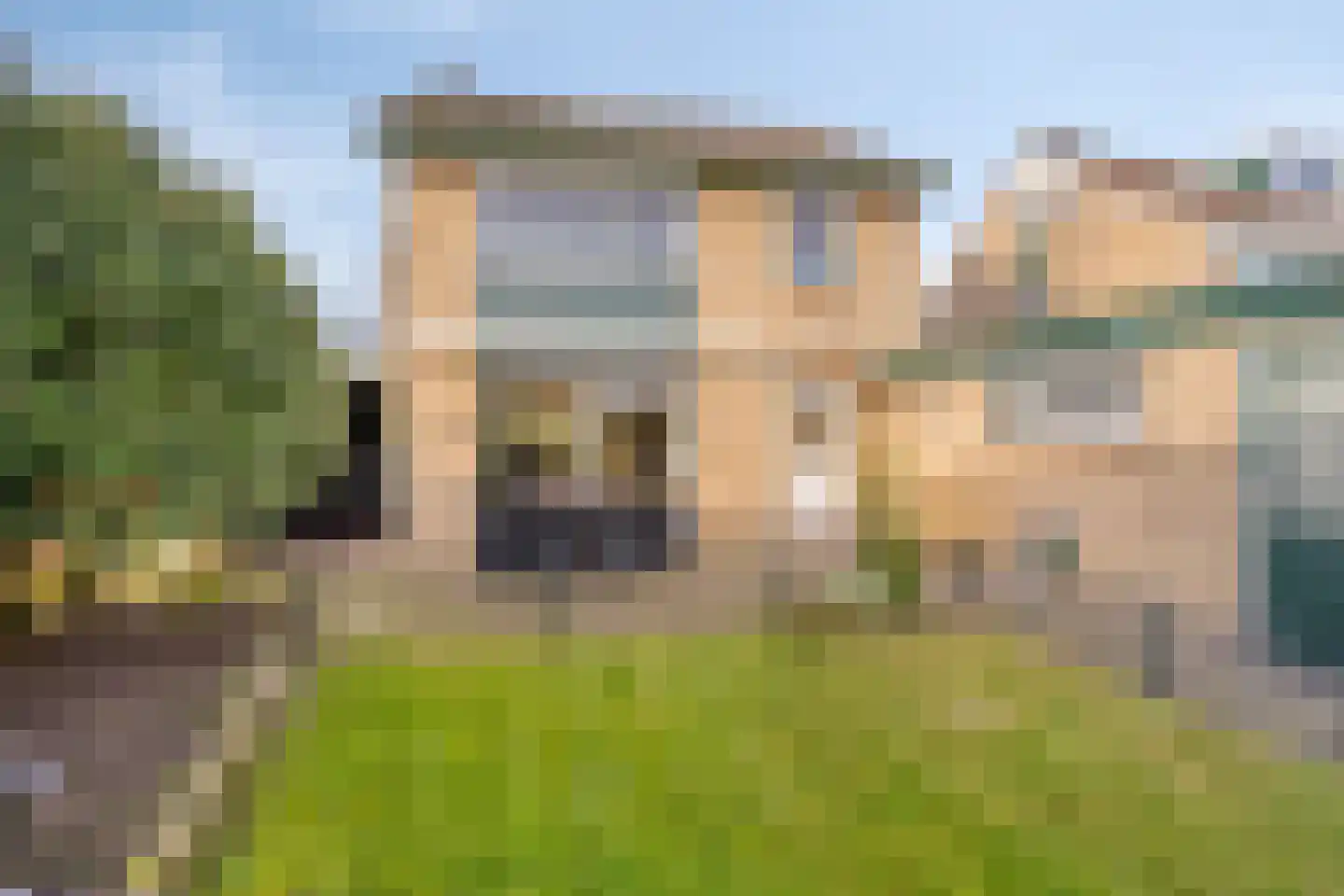 Anemoon 25 Borne thumbnail 4