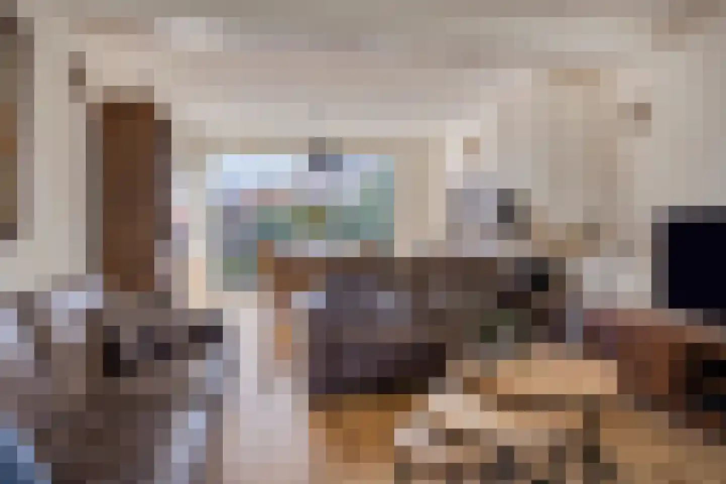 Anemoon 25 Borne thumbnail 9