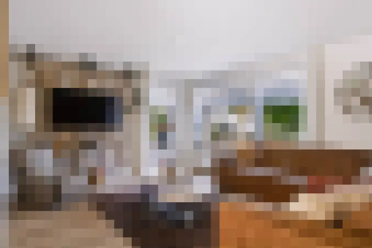 Anemoon 25 Nijverdal thumbnail 10