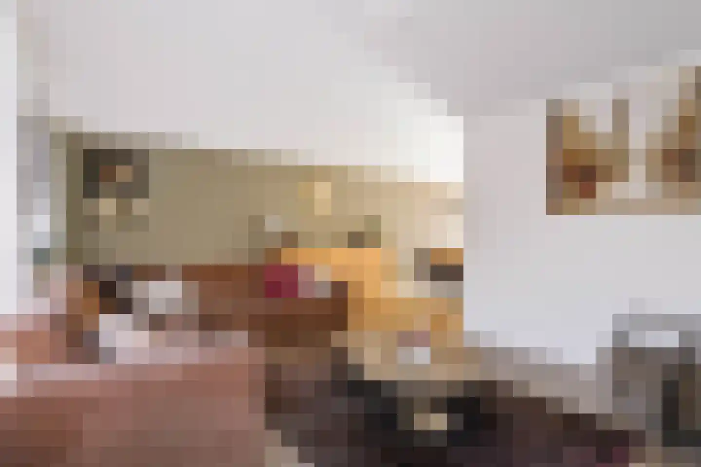 Anemoon 25 Nijverdal thumbnail 11