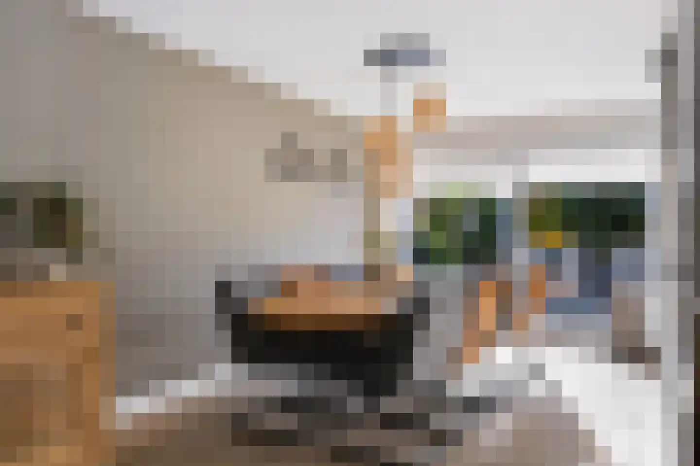 Anemoon 25 Nijverdal thumbnail 12