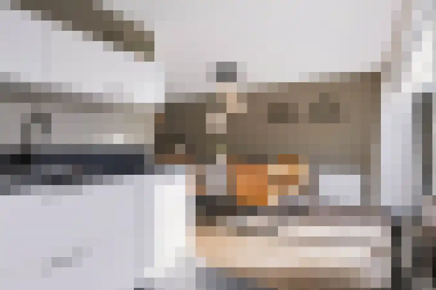 Anemoon 25 Nijverdal thumbnail 14