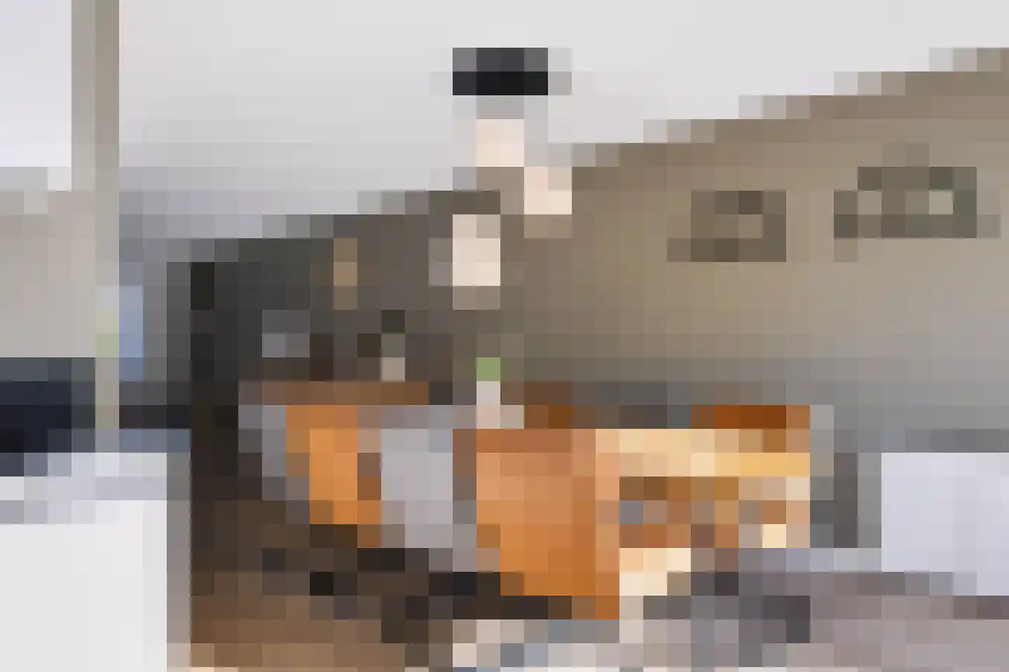 Anemoon 25 Nijverdal thumbnail 15