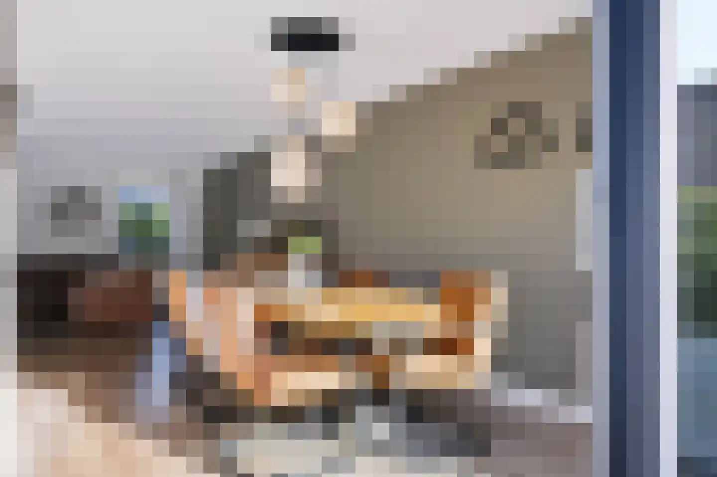 Anemoon 25 Nijverdal thumbnail 16