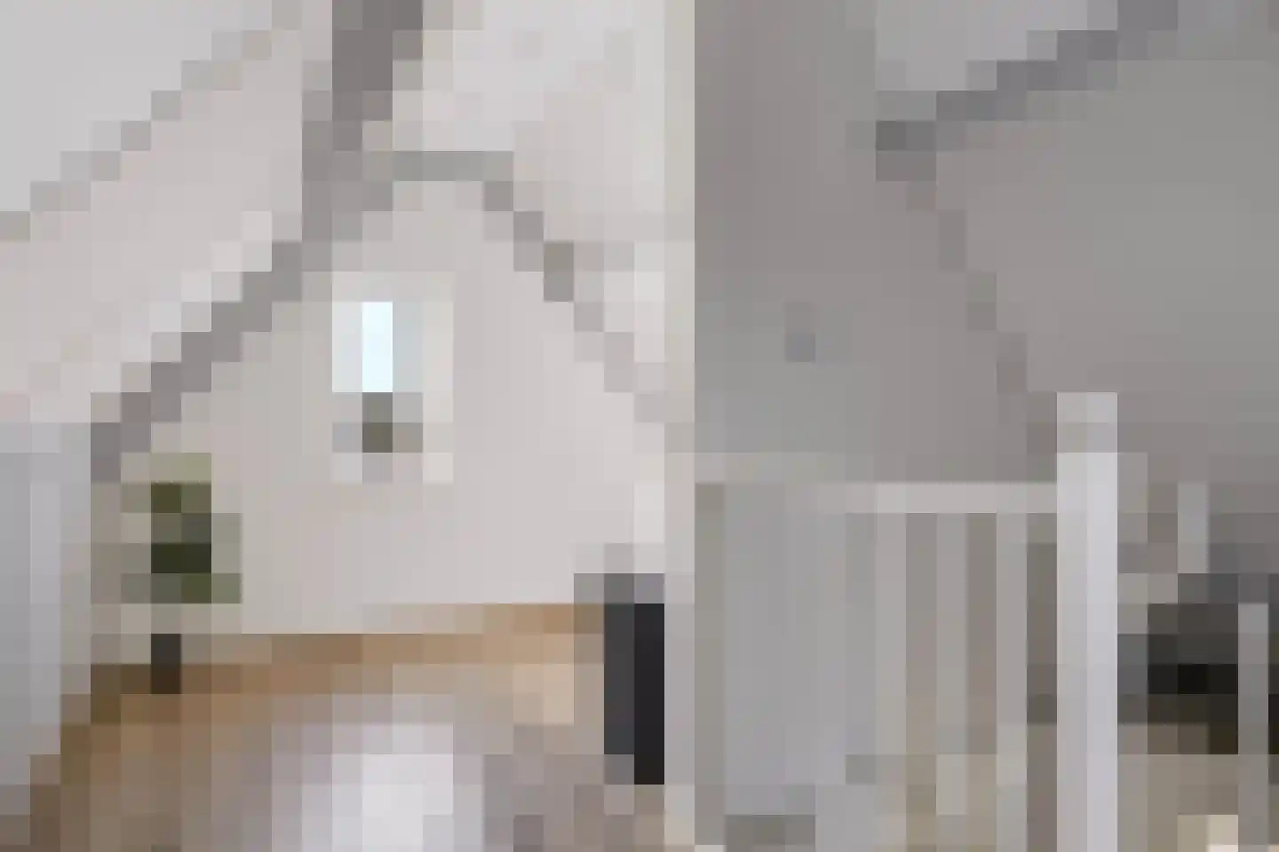 Anemoon 25 Nijverdal thumbnail 26