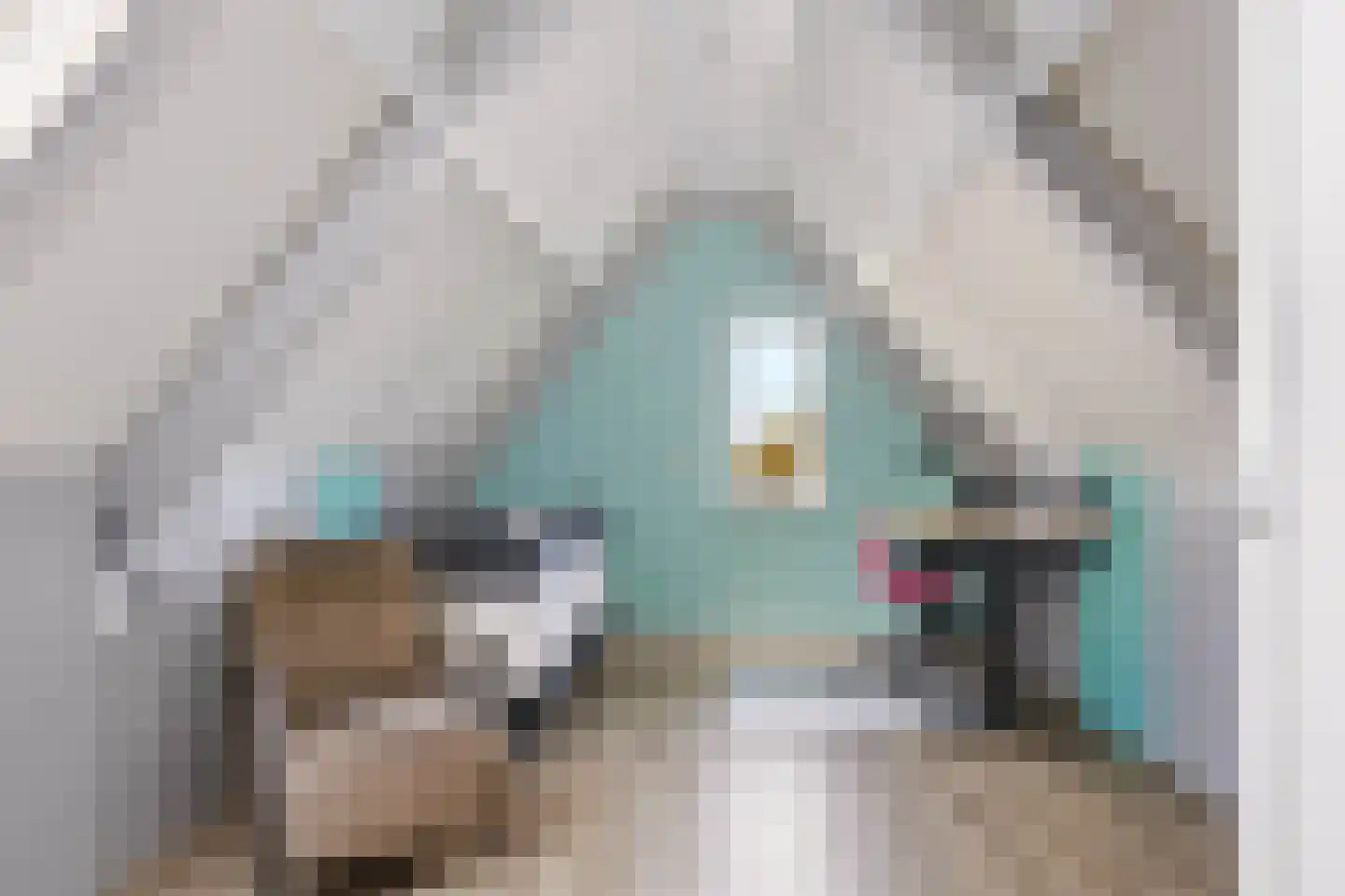 Anemoon 25 Nijverdal thumbnail 27