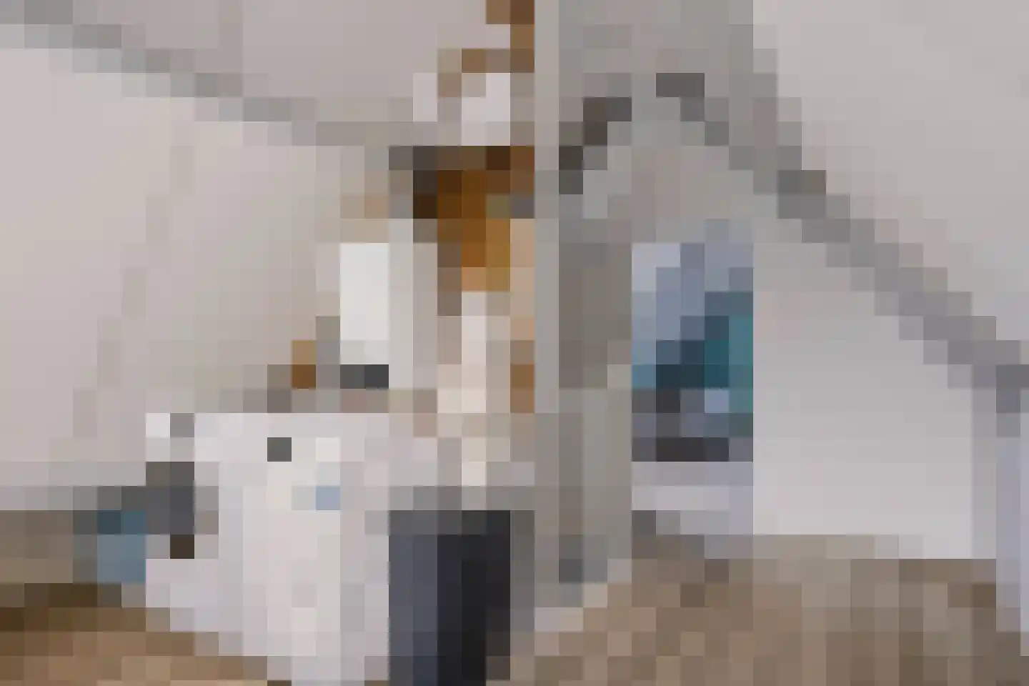 Anemoon 25 Nijverdal thumbnail 29