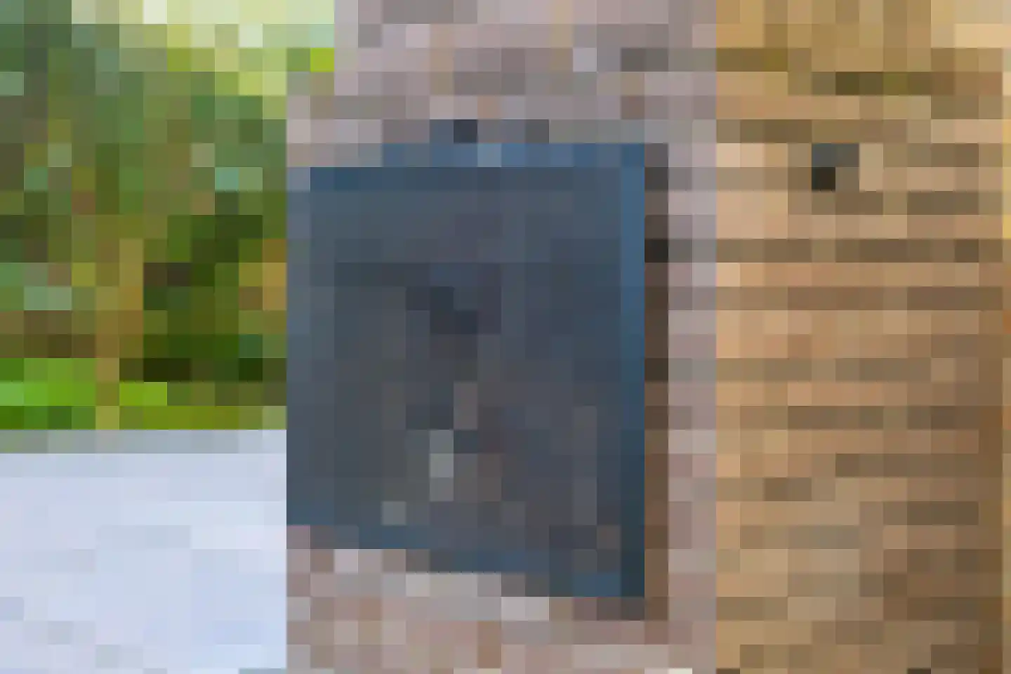 Anemoon 25 Nijverdal thumbnail 36