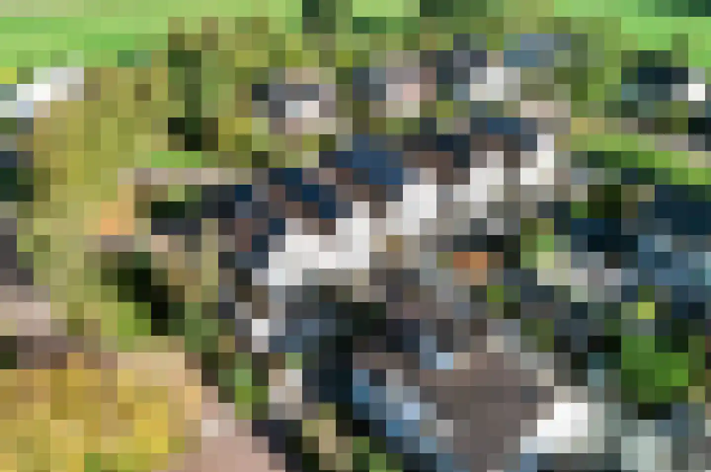 Anemoon 25 Nijverdal thumbnail 38