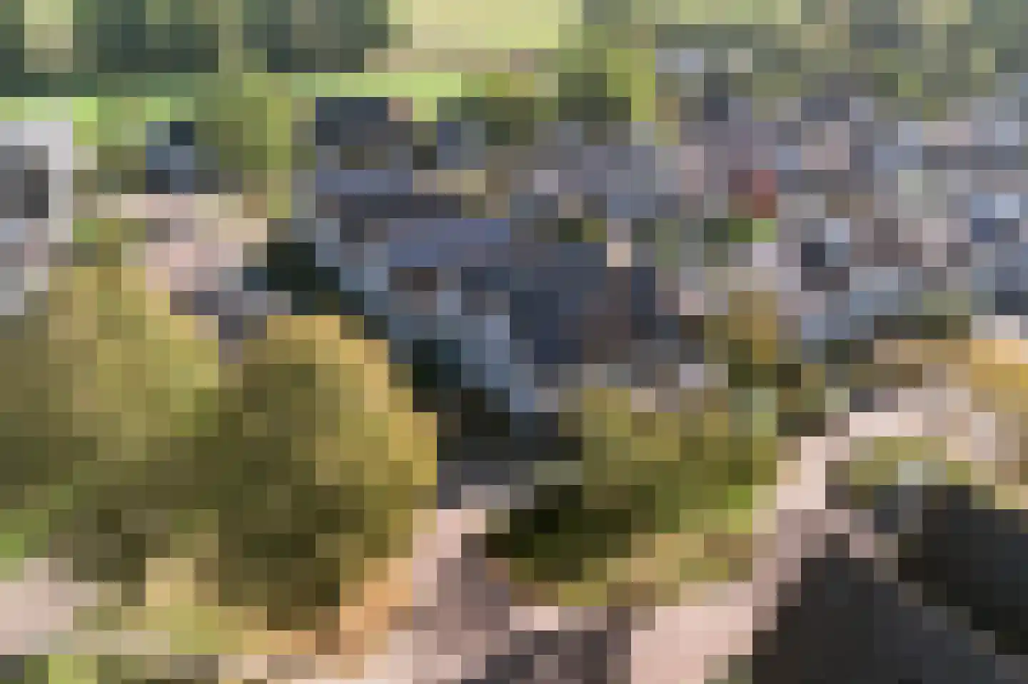 Anemoon 25 Nijverdal thumbnail 40