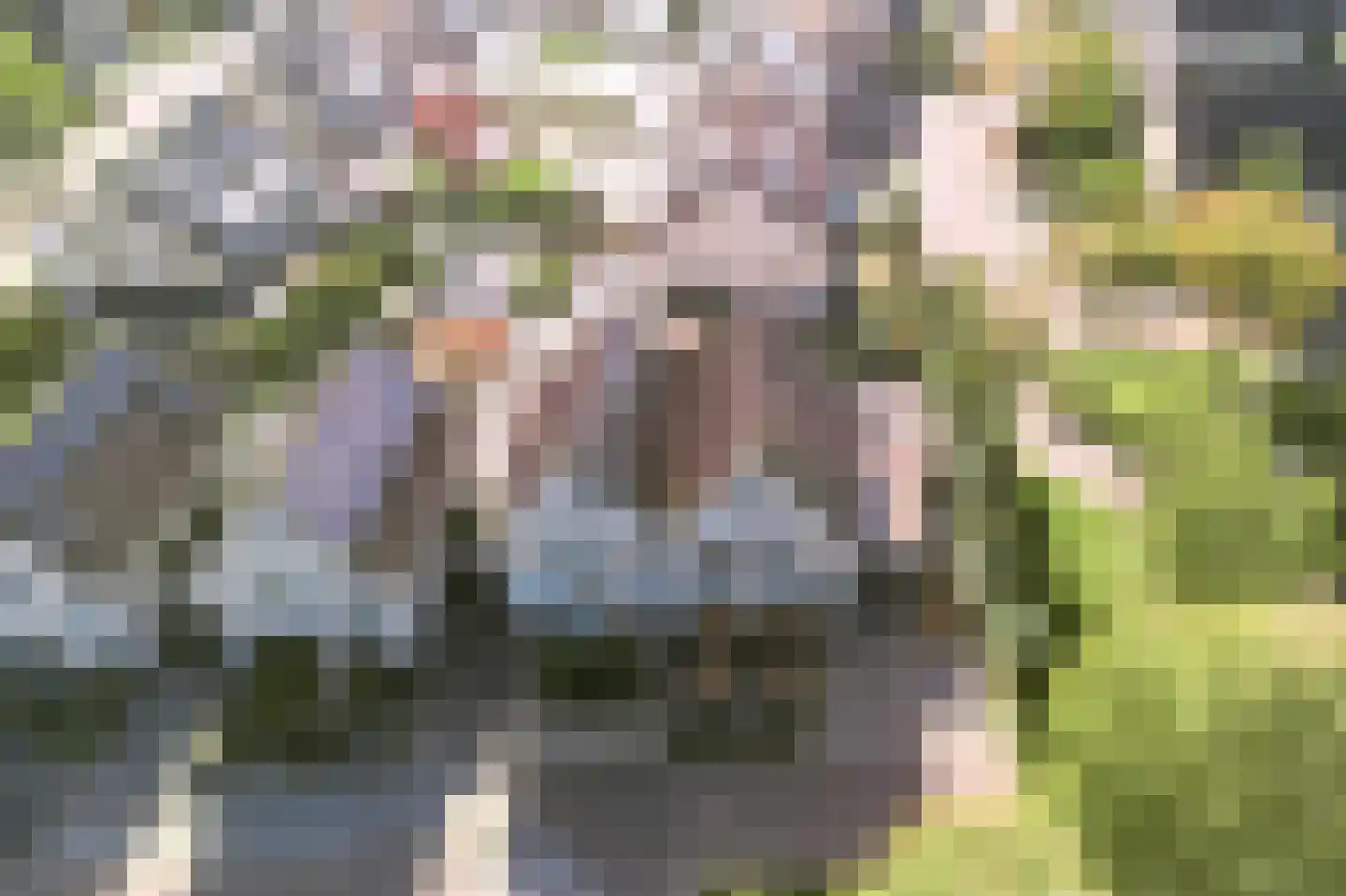 Anemoon 25 Nijverdal thumbnail 41