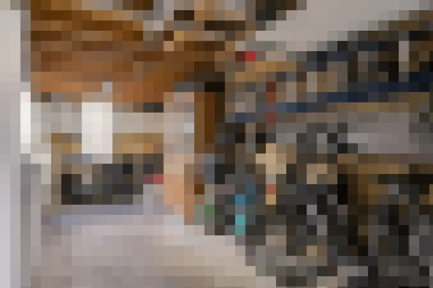 Anemoon 25 Nijverdal thumbnail 42