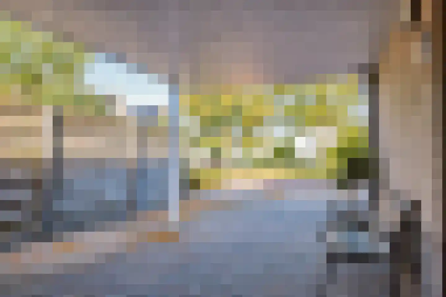 Anemoon 25 Nijverdal thumbnail 6