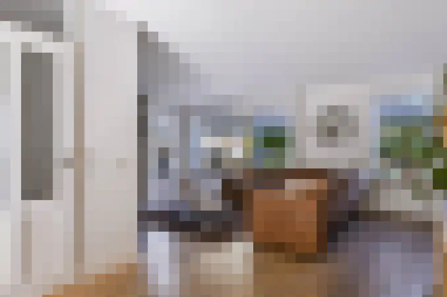 Anemoon 25 Nijverdal thumbnail 9
