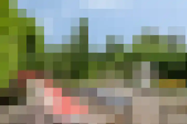 Anemoon 30 Krimpen aan den IJssel thumbnail 23