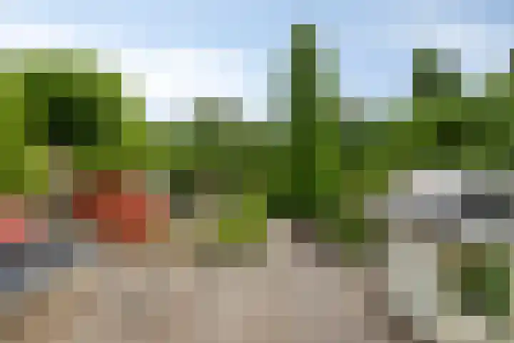 Anemoon 30 Krimpen aan den IJssel thumbnail 24