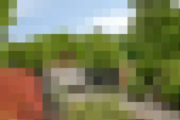 Anemoon 30 Krimpen aan den IJssel thumbnail 25