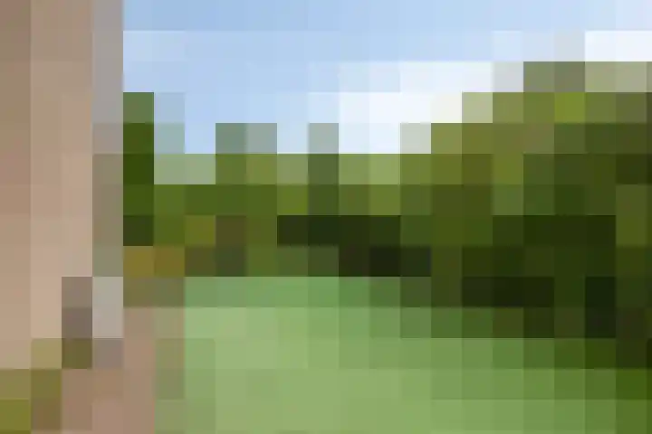 Anemoon 30 Krimpen aan den IJssel thumbnail 27
