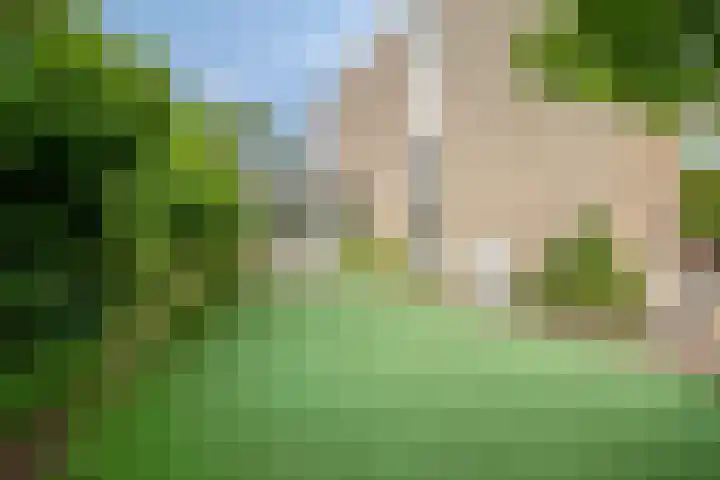 Anemoon 30 Krimpen aan den IJssel thumbnail 28