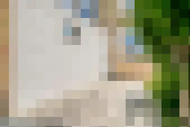 Anemoon 30 Krimpen aan den IJssel thumbnail 30