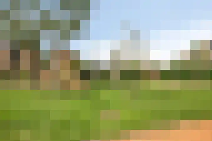 Anemoon 30 Krimpen aan den IJssel thumbnail 33
