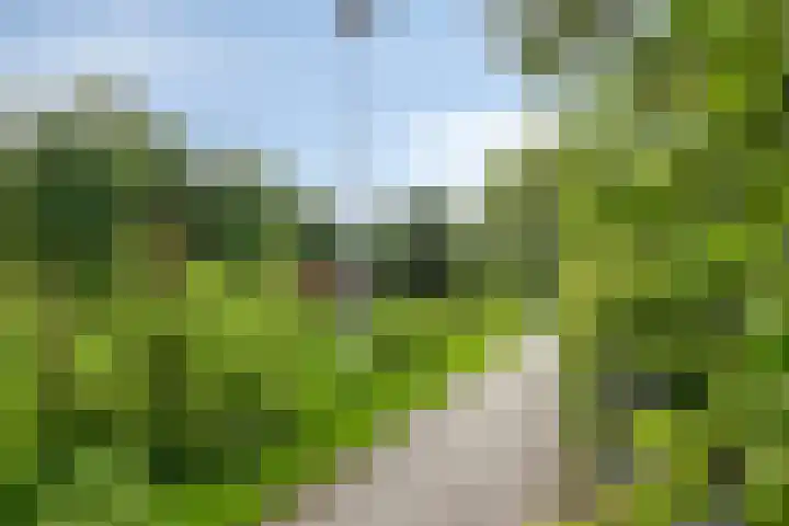 Anemoon 30 Krimpen aan den IJssel thumbnail 34