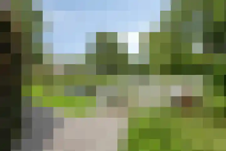 Anemoon 30 Krimpen aan den IJssel thumbnail 35
