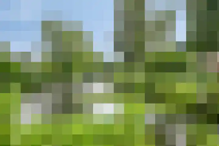 Anemoon 30 Krimpen aan den IJssel thumbnail 36