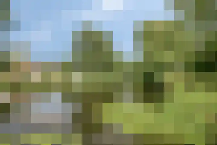 Anemoon 30 Krimpen aan den IJssel thumbnail 37