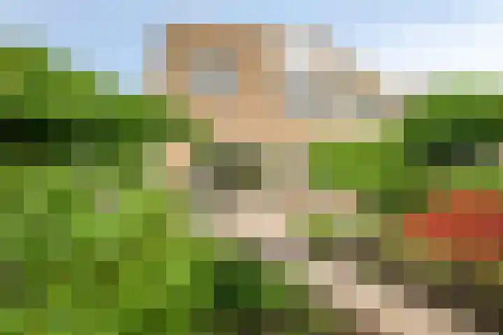 Anemoon 30 Krimpen aan den IJssel thumbnail 43