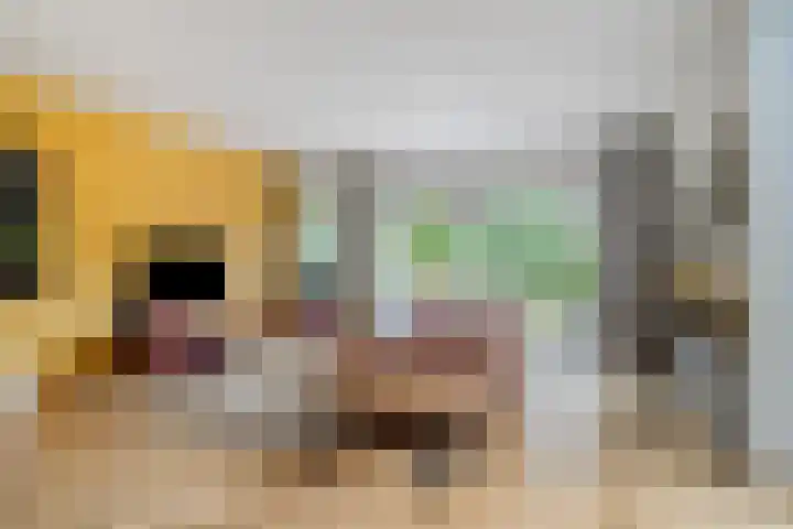 Anemoon 30 Krimpen aan den IJssel thumbnail 5