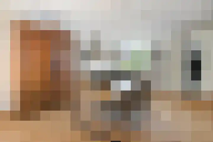 Anemoon 30 Krimpen aan den IJssel thumbnail 7