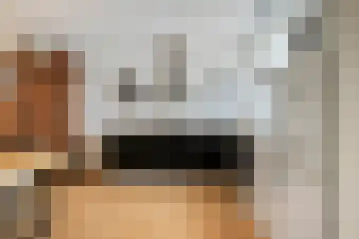 Anemoon 30 Krimpen aan den IJssel thumbnail 8