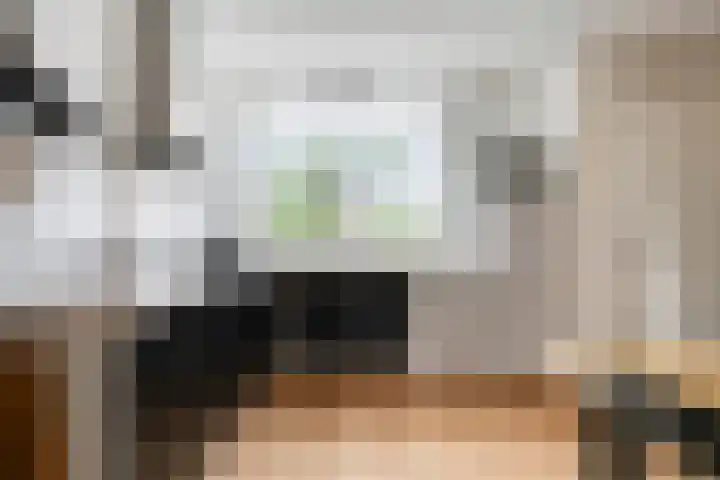 Anemoon 30 Krimpen aan den IJssel thumbnail 9