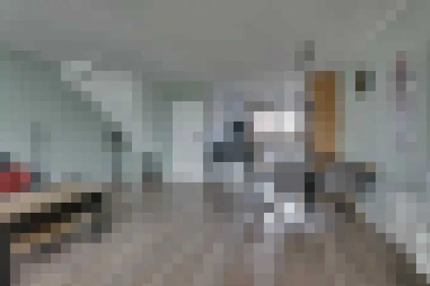 Anemoon 31 Ens thumbnail 19